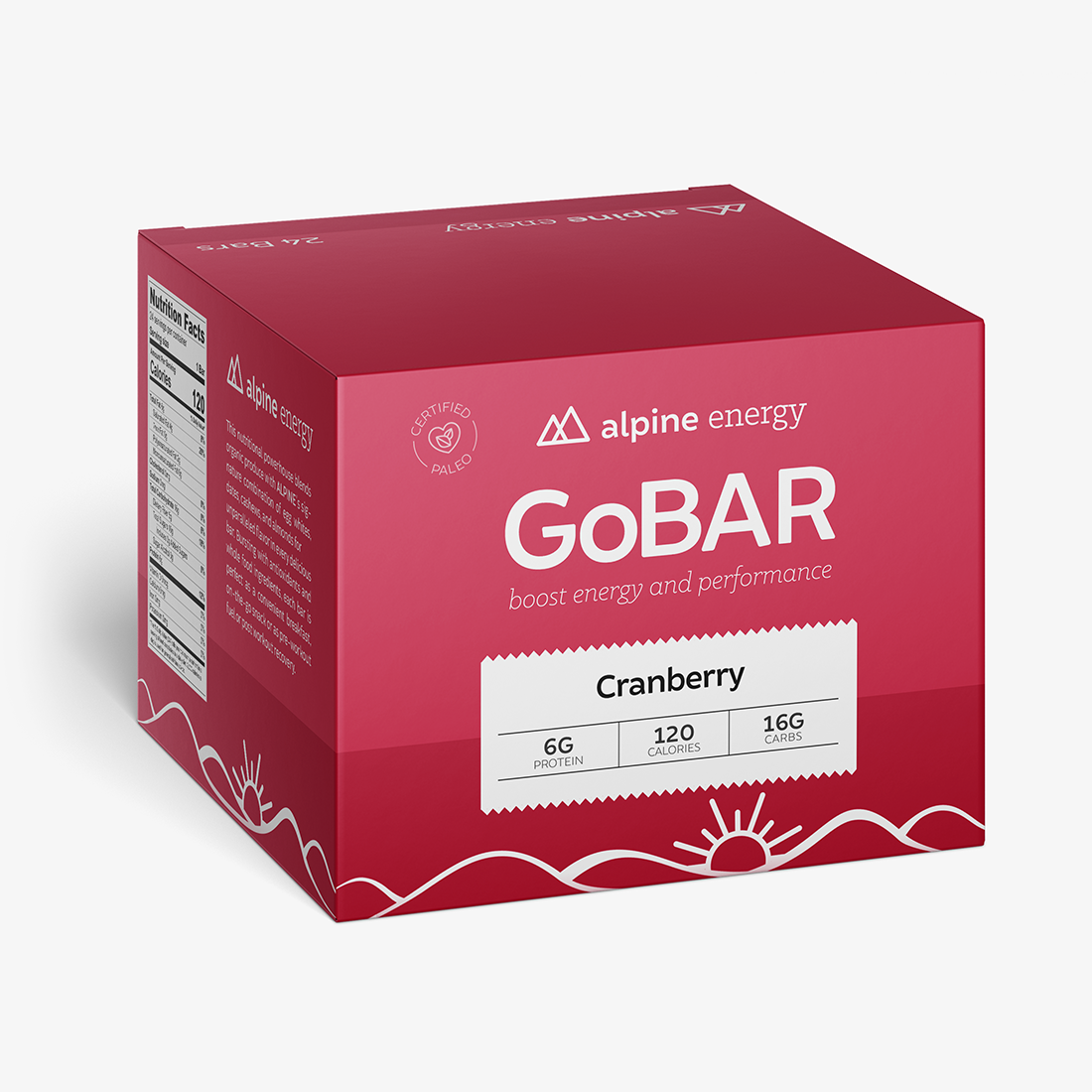 GoBar Cranberry Hi Protein, 2oz 24 Pack (Case)